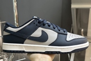 045 Nike SB Dunk Low Georgetown